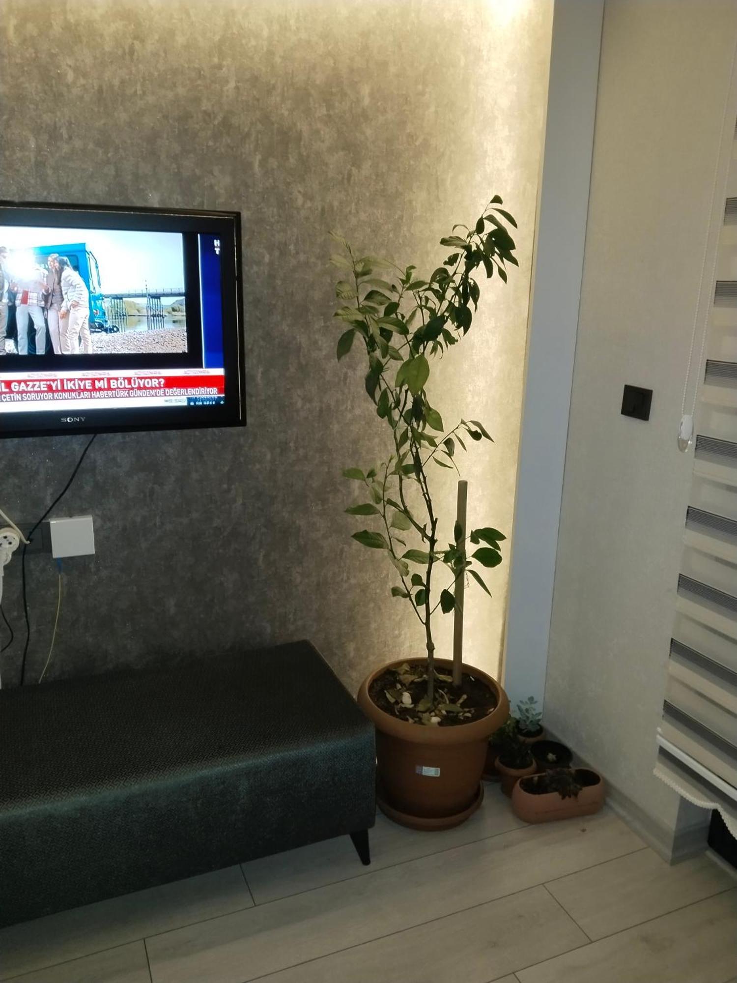 Ankara Esenboga Airport Luxury Rezidance Apart מראה חיצוני תמונה